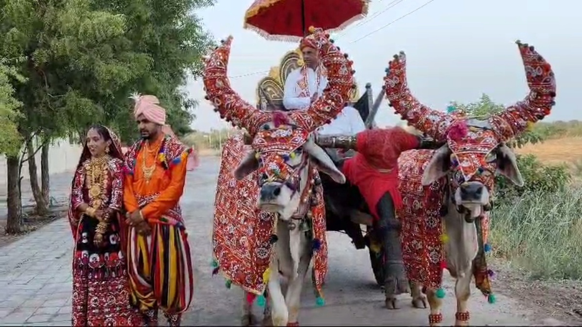 કચ્છમાં લગ્નની કંકોત્રીમાં સરકારી યોજનાને સ્થાન, લોકજાગૃતિ માટે અનોખી ...