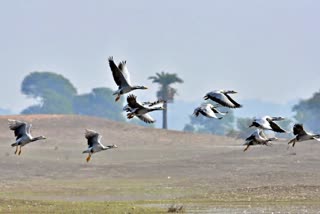 Ramsar Site In Jamui