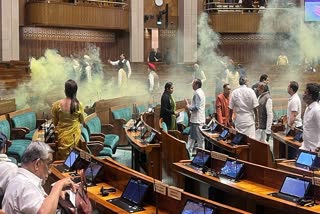 Chaos erupts inside Parliament after miscreants throw smoke cannisters inside the house on December, 13, 2023