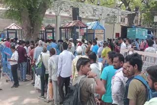 Annadanam at Fish medicine Distribution