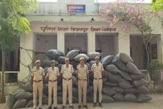 SEIZED DODA POWDER WORTH RS 2 CRORE, CHITTORGARH POLICE SEIZED DODA POWDER