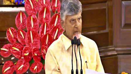 TDP Chief Chandrababau Naidu in NDA Meeting