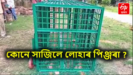 Iron cage in Assam