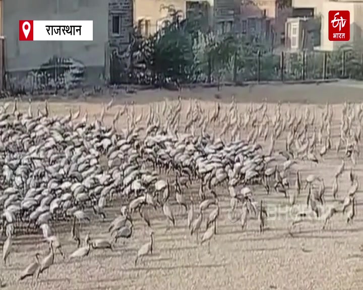 क्या हैं चुनौतियां