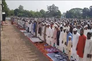 BAKRID MUBARAK