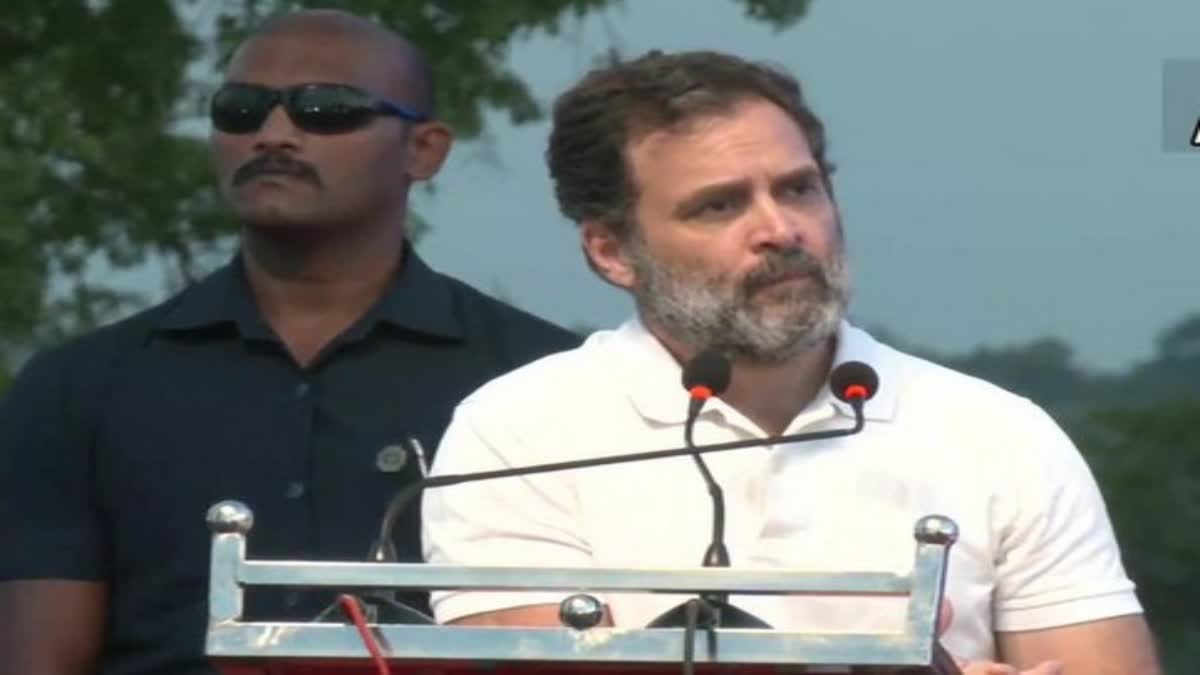 Gujarat HC's verdict on Rahul Gandhi's plea against conviction in Modi Surname Defamation case