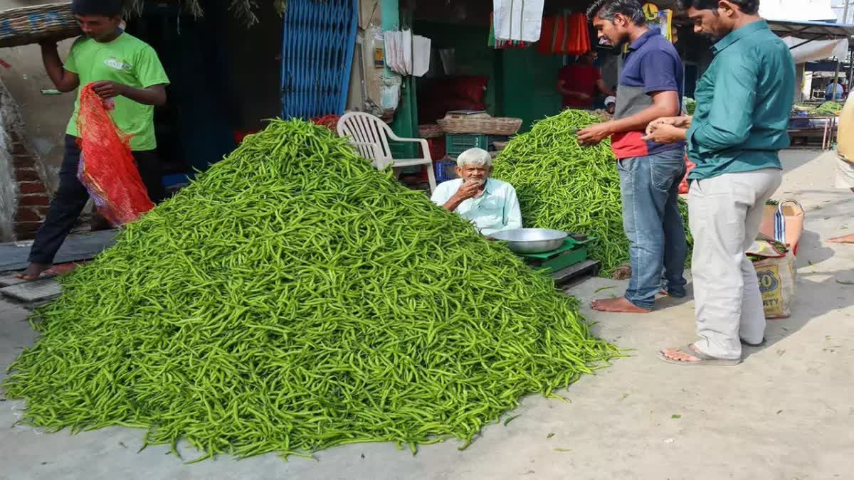 લાલ ટમેટા બાદ હવે લીલા મરચાનો વારો, ભાવમાં સેન્ચુરી