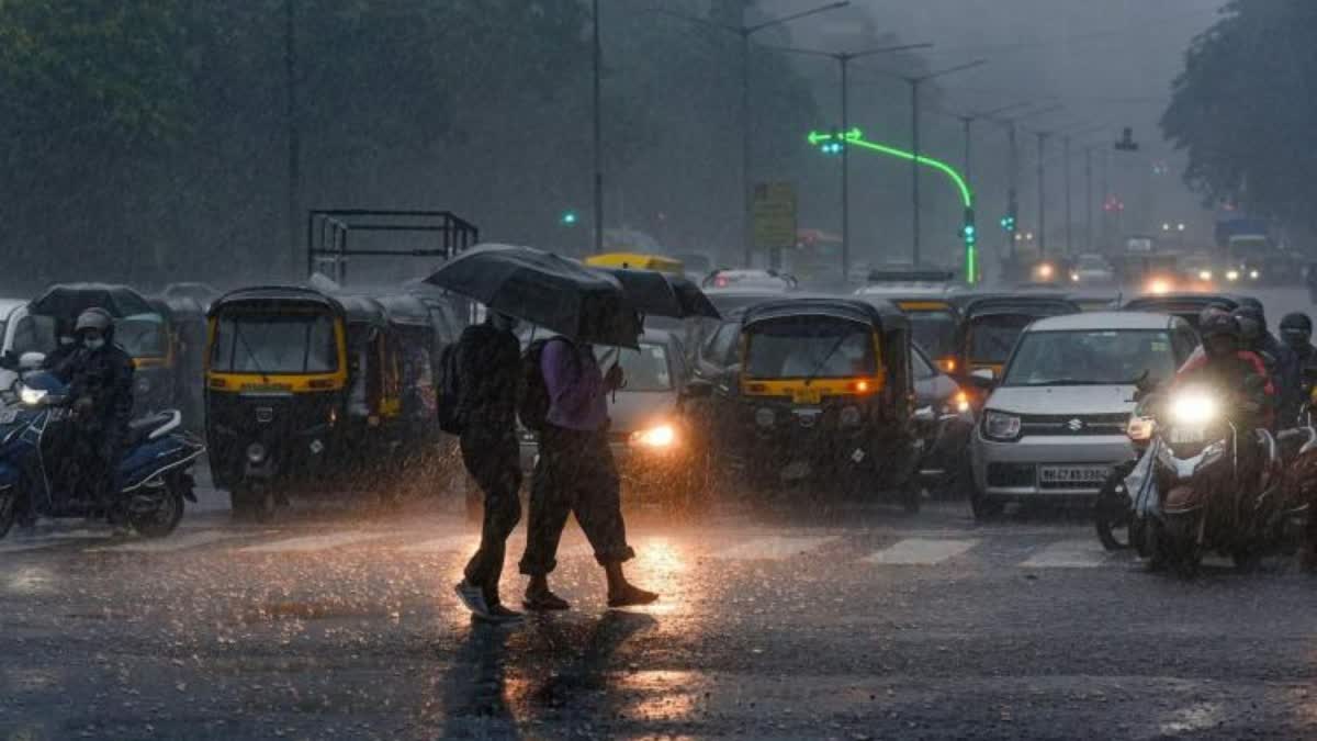 weather update  kerala weather update  rain  rain update  heavy rain in kerala  kerala rain  സംസ്ഥാനത്ത് മഴ തുടരുന്നു  മഴ  കേരളത്തിൽ മഴ  സംസ്ഥാനത്ത് മഴ  ഇന്ന് അവധി  സ്‌കൂളുകൾക്ക് അവധിയുള്ള ജില്ലകൾ  ഇന്ന് അവധിയുള്ള ജില്ലകൾ  വിദ്യാഭ്യാസ സ്ഥാപനങ്ങള്‍ക്ക് ഇന്ന് അവധിയുള്ള ജില്ല  മഴ മുന്നറിയിപ്പ്  കേന്ദ്ര കാലാവസ്ഥ വകുപ്പ്  പൊന്നാനി