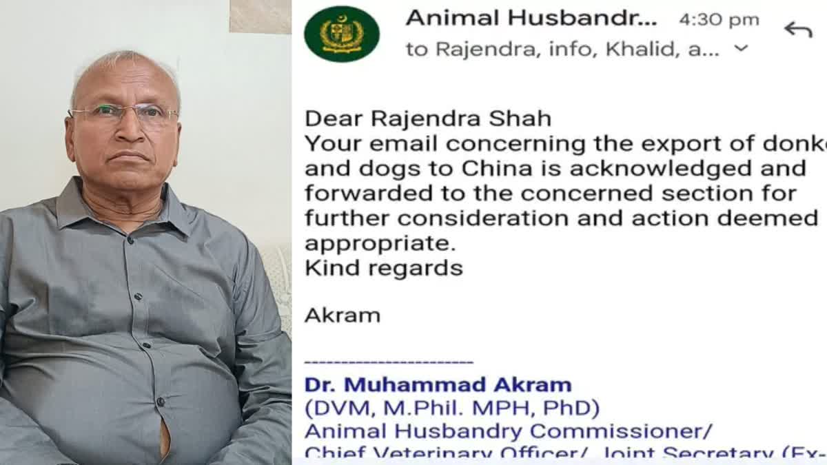 jeevdaya-lover-of-rajkot-wrote-a-letter-to-pakistan-not-to-send-donkeys-to-china