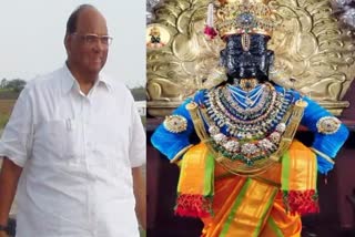 Stop Called Vitthal To Sharad Pawar