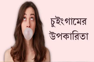 Chewing Gum News