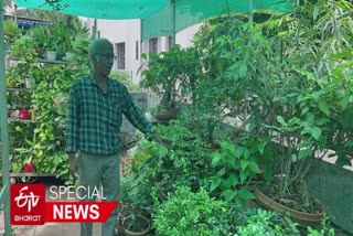 Surat news : માત્ર એકથી બે ફુટના વૃક્ષો આપી રહ્યા છે ફળ-ફૂલ, આ રીતે કુંડામાં રોપીને ઓક્સિજન સાથે તમારા ઘરની વધારો શોભા