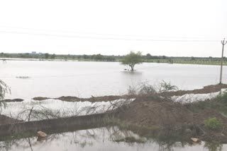 bhavnagar-rain-river-water-overflowed-in-the-fields-of-bhal-panthak-danger-may-increase-if-there-is-heavy-rain
