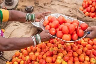 Tomato Prices