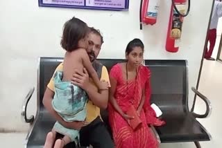 Surat News : સુરતમાં આતંક યથાવત, લિંબાયતમાં બે માસુમ બાળકીને શ્વાનની ટોળકી ત્રાટકી