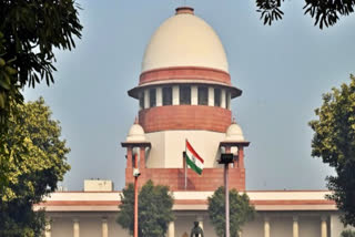SC says land scams persistent issue, cancels pre-arrest bail of accused