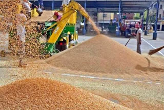 FCI to sell 4.29 lakh tonne wheat, 3.95 lakh tonne rice in 3rd e-auction to be held on July 12