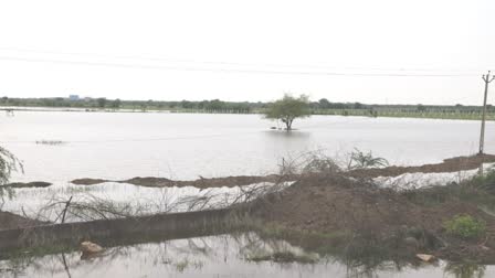 bhavnagar-rain-river-water-overflowed-in-the-fields-of-bhal-panthak-danger-may-increase-if-there-is-heavy-rain