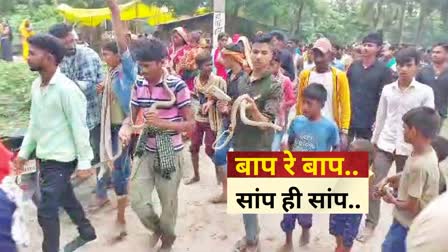 Snake fair Etv Bharat