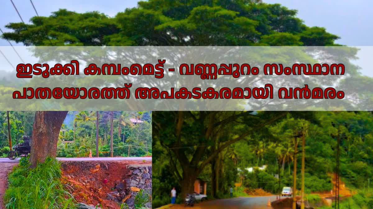 കമ്പംമെട്ട് വണ്ണപ്പുറം സംസ്ഥാന പാത  റോഡരികിൽ വൻമരം  അപകടകരമായി വന്‍മരം  DANGEROUSLY LARGE TREE