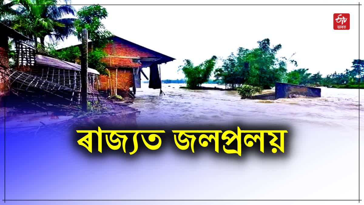 Assam Flood 2024