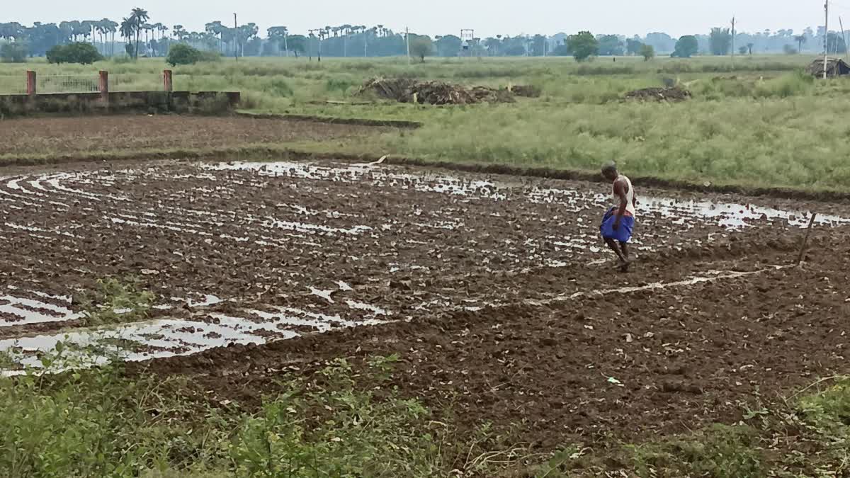 Rain In Deoghar