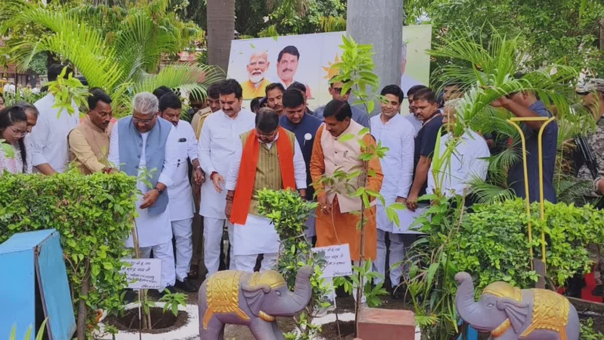 Mega tree plantation drive in Indore