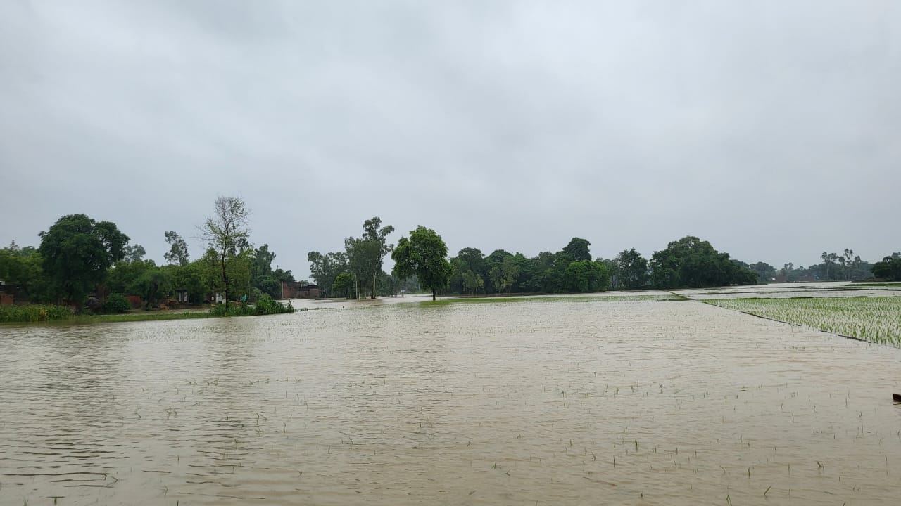 मूसलाधार बारिश ने खोली मानसून की तैयारियों की पोल