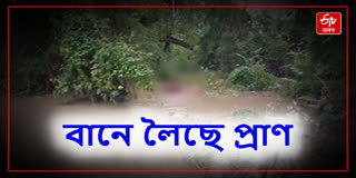 Body of unidentified girl found in Flood water in Dibrugarh, child dies after being drowned in flood