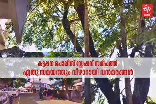 KATTAPPANA TREE ISSUE  BIG TREE STANDING DANGEROUSLY  പൊലീസ് സ്‌റ്റേഷനരികിൽ മരം  കട്ടപ്പനയിൽ അപകടകരമായി വന്‍മരം