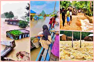 Assam Flood