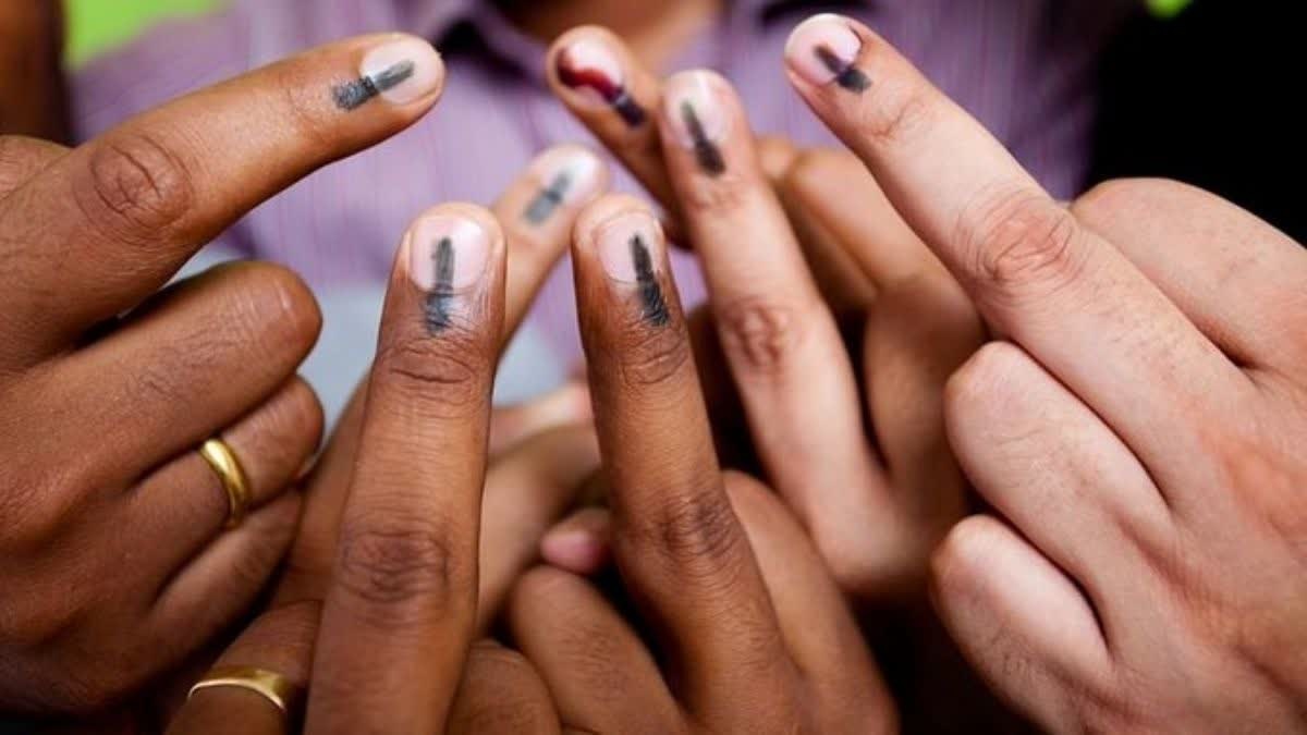 चुनाव से पहले मतदाता सूची का सर्वेक्षण पर विवाद
