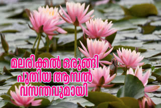 MALARICKAL TOURISM  KOTTAYAM DISTRICT  മലരിക്കൽ  WATER LILLY SPOT IN KOTTAYAM