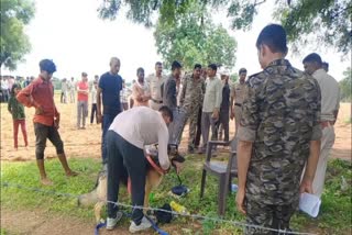 Beheaded Body Of 32-Year-Old Man Found Near Temple In Madhya Pradesh's Tikamgarh
