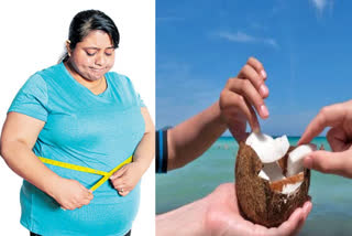If you want to lose weight fast without working out, then eat coconut every day