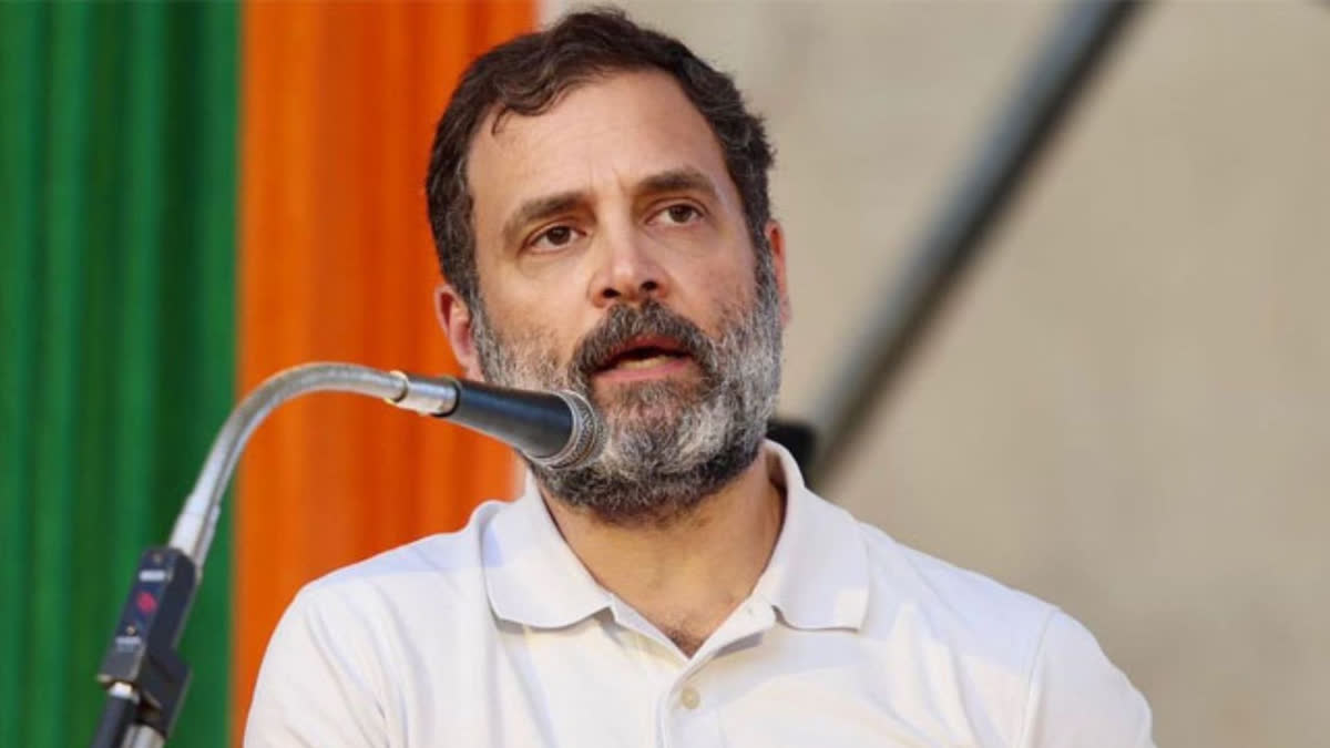 Congress leader Rahul Gandhi will be Opposition face in 2024 Lok Sabha polls: MP Pradip Bhattacharya