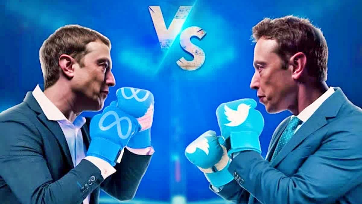 Elon - Mark Cage Fight