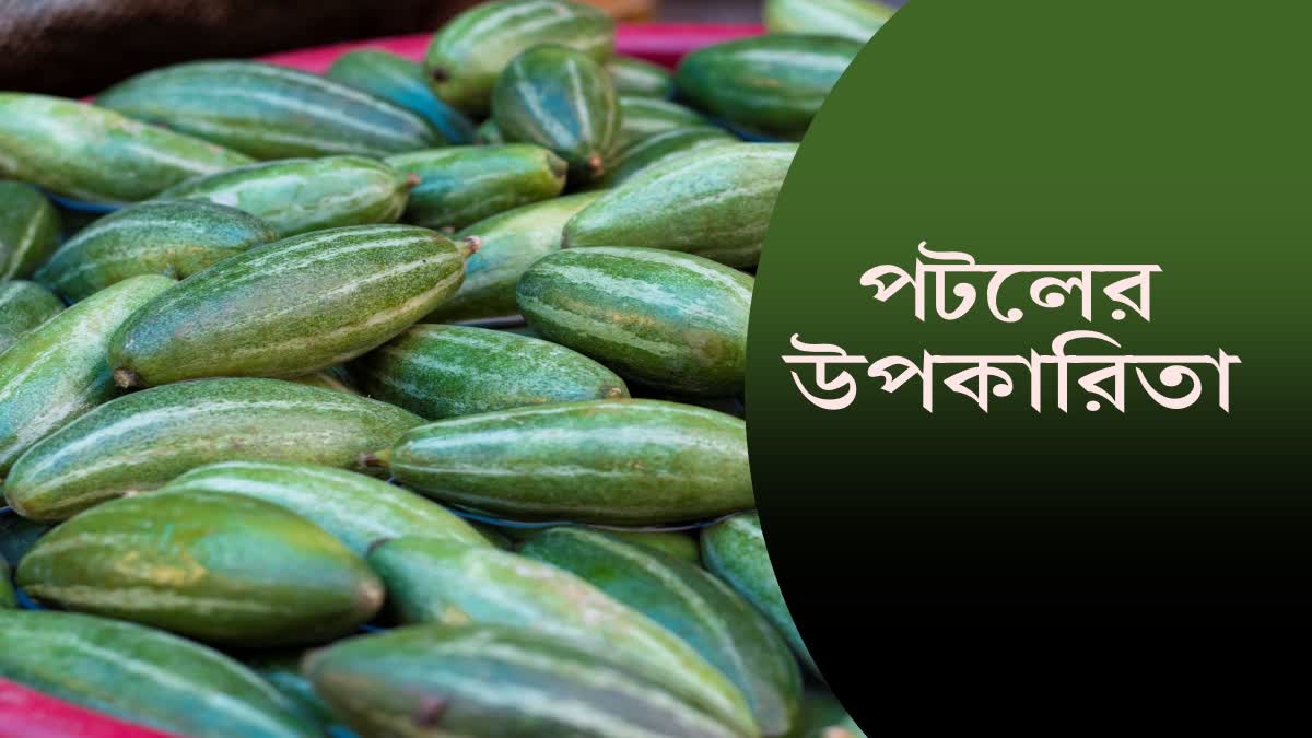 Pointed Gourd for Health News