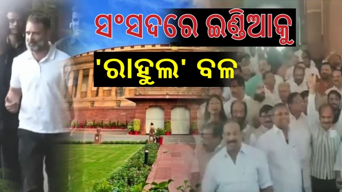 ରାହୁଲ ଗାନ୍ଧି ସଦସ୍ୟତା ଫେରିପାଇବା ସତ୍ୟର ଜୟ