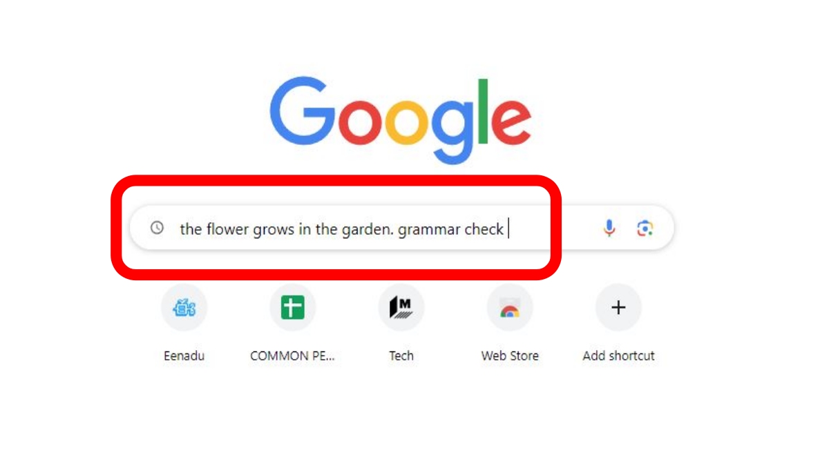 Google Grammar Checker