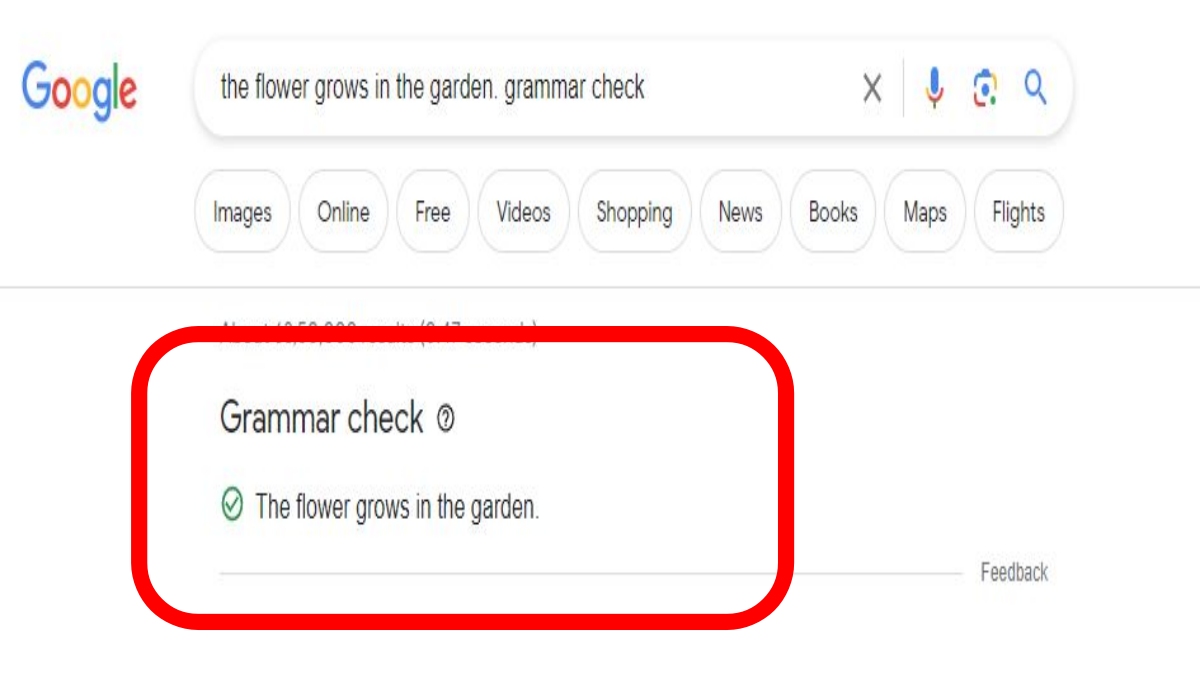Google Grammar Checker