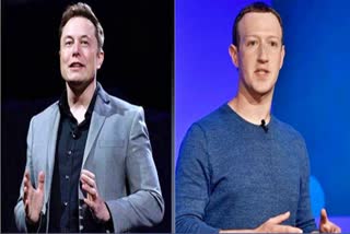 Elon Musk, Mark Zuckerberg