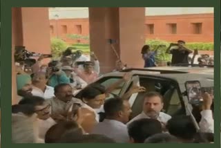 Congress MP Rahul Gandhi arrives at the Parliament