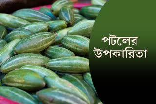 Pointed Gourd for Health News