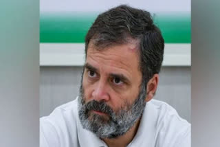 RAHUL GANDHI WORRIED OVER HARYANA VIOLENCE WILL REVIEW PREPARATIONS FOR LOK SABHA ELECTIONS IN THE STATE