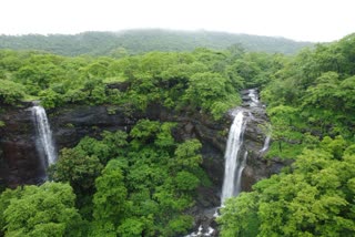 સોળે કલાએ ખીલ્યો રાજારાણી ધોધ