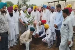 Start of plantation in village Chanarthal Kalan Mandi of District Fatehgarh Sahib