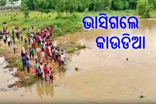2 kanwariyas drowned in Salandi river