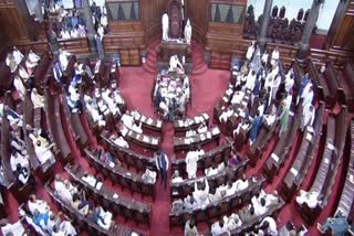 Delhi Services Bill Passed In Rajya Sabha