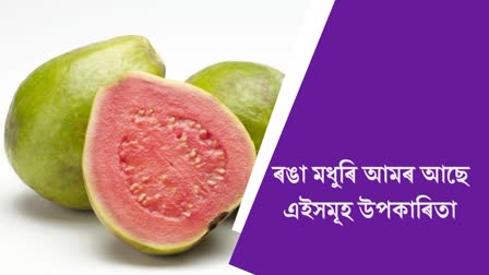 Benefits Of Red Guava